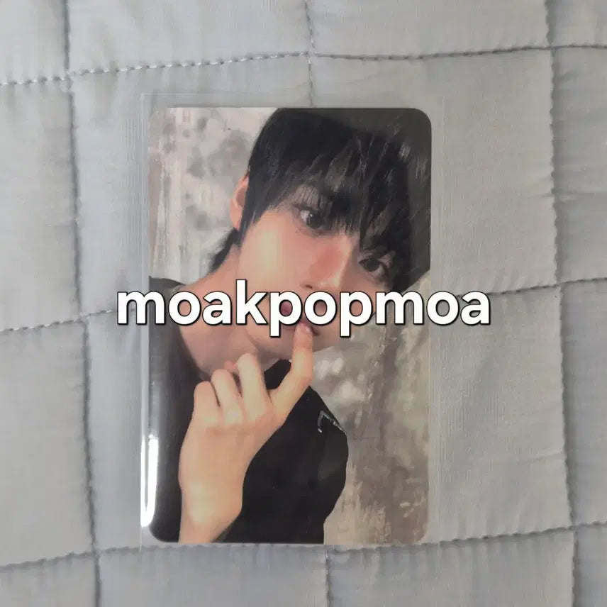 [BUNJANG] Seo Jung Woo Sugar High Photocard / 아홉 서정우 슈가하이 공방 포카 양도 wts sell ahof