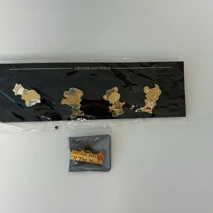 [BUNJANG] Everland Cast Badge Compliment + Expiration Set / 에버랜드 캐스트 뱃지 일괄판매 !