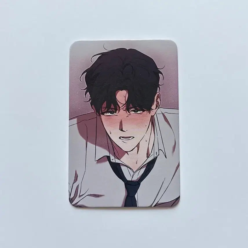 [BUNJANG] Toonique Sugar Trap Illustration Photocard / 투니크 슈가트랩 일러스트 포카 포토카드