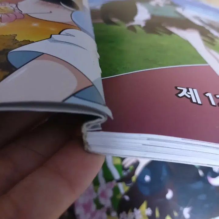 [BUNJANG] Zombie High School Comics Bundle Set Volumes 2, 3, 6, 10, 25 &amp; Ahn Bo-young Student ID / (일괄)좀비고등학교 코믹스 2,3,6,10,25/안보영 학생증