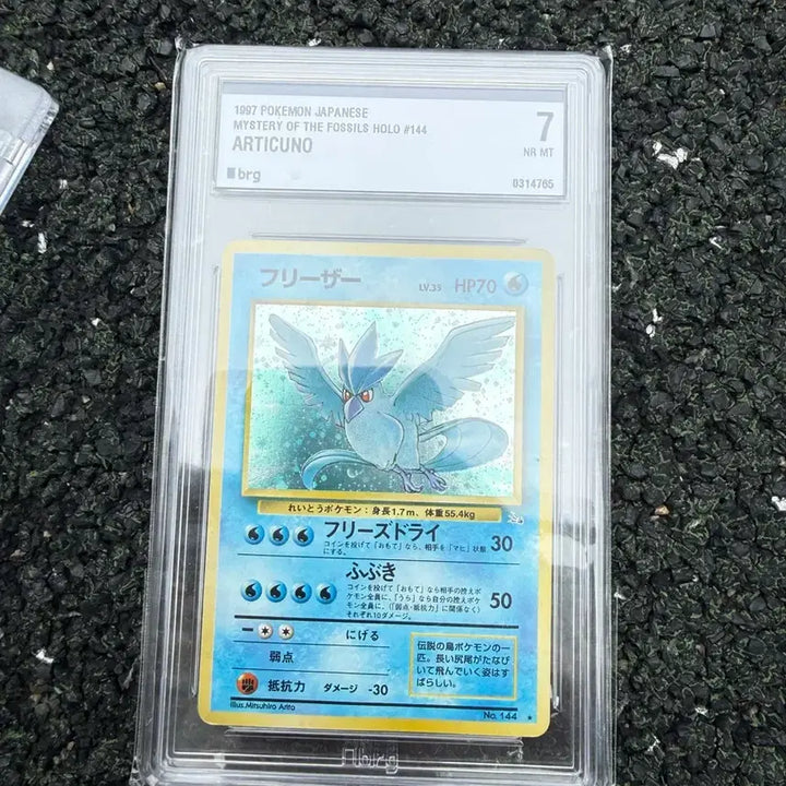 [BUNJANG] Pokemon Card 1997 Moltres Japanese Holo BRG Graded 7 / 포켓몬카드 1997 프리져 일판 홀로 brg 7