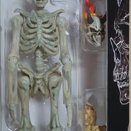[BUNJANG] Techlogy Class Human Skeleton 1/12 Scale Action Figure / 1/12 스켈레톤 액션 피규어 팔아요