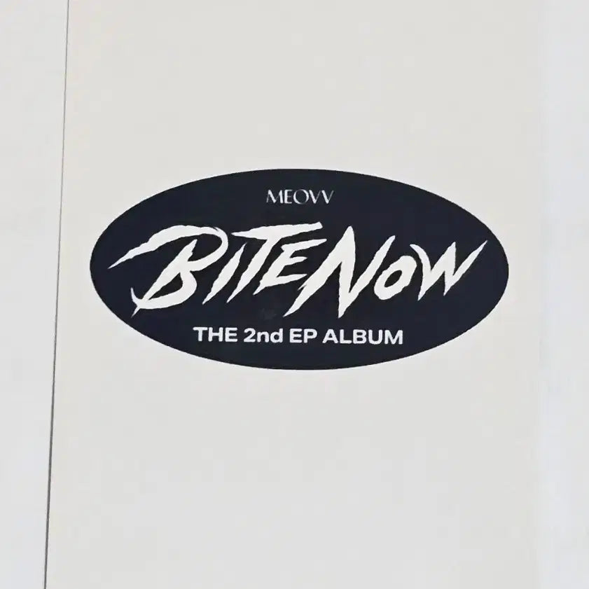 [BUNJANG] MEOVV Anna Gongbang Photocard / 미야오 MEOVV 띠로리 안나 공방카 ANNA 50% SALE