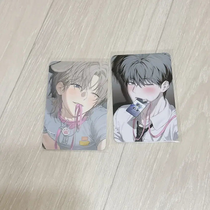 [BUNJANG] Special Edition Bundle Set Photocard / 사용 후 반품불가 사반불 5만 특전 세트 미블 팝업