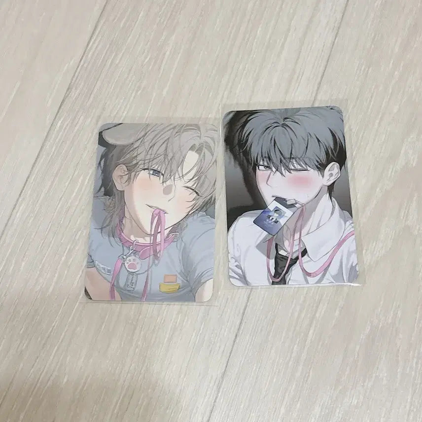 [BUNJANG] Special Edition Bundle Set Photocard / 사용 후 반품불가 사반불 5만 특전 세트 미블 팝업