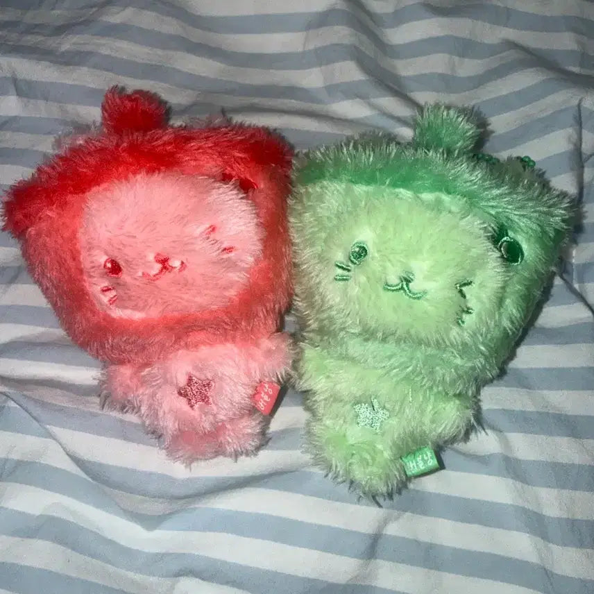 [BUNJANG] Bubble Cat Bundle Set / 버블냥 양도합니당