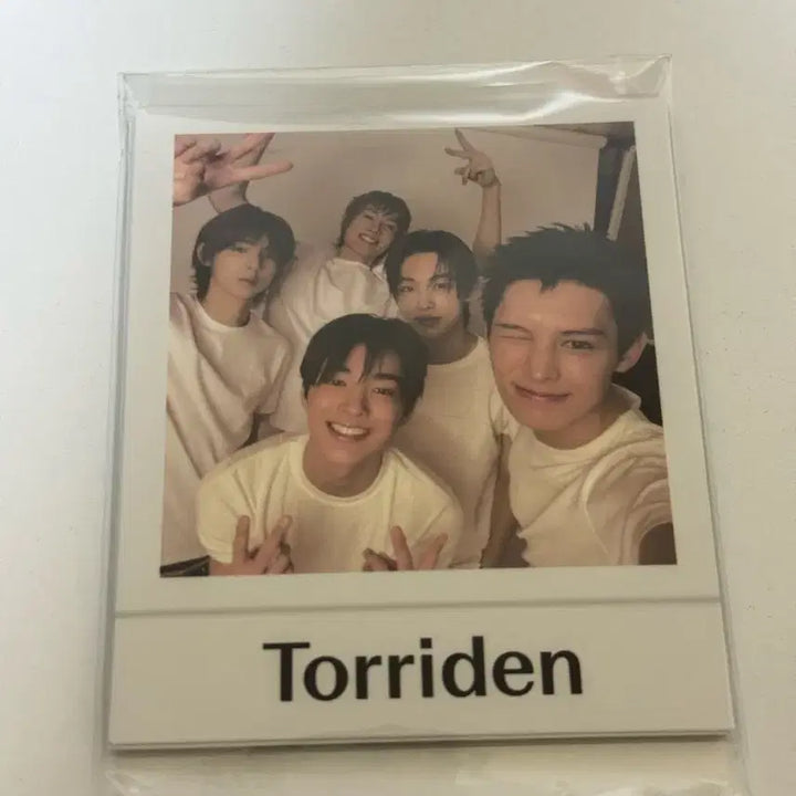 [BUNJANG] Torriden Cortis Frame Photo / 토리든 코르티스 프레임 포토