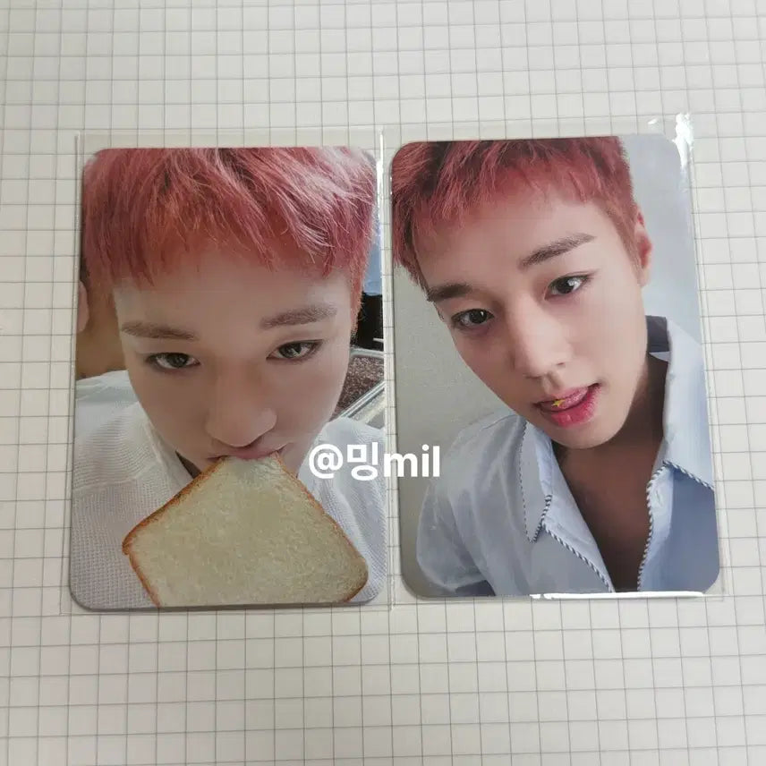 [BUNJANG] Park Jihoon M&amp;d 2 Types POB Bundle Set / 박지훈 뮤앤드 미공포 2종 일괄 판매