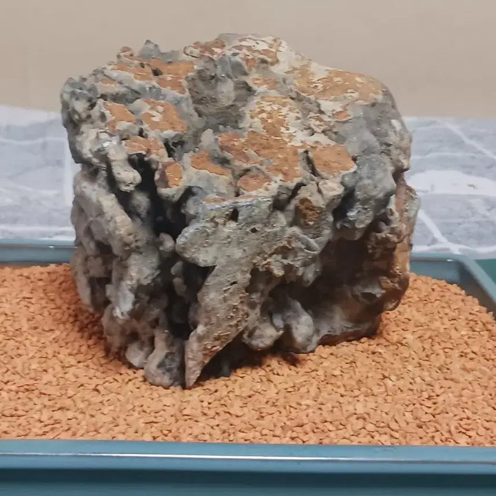 [BUNJANG] Natural Stone Viewing Stone (Okpo) / 수석(옥포 관음사)