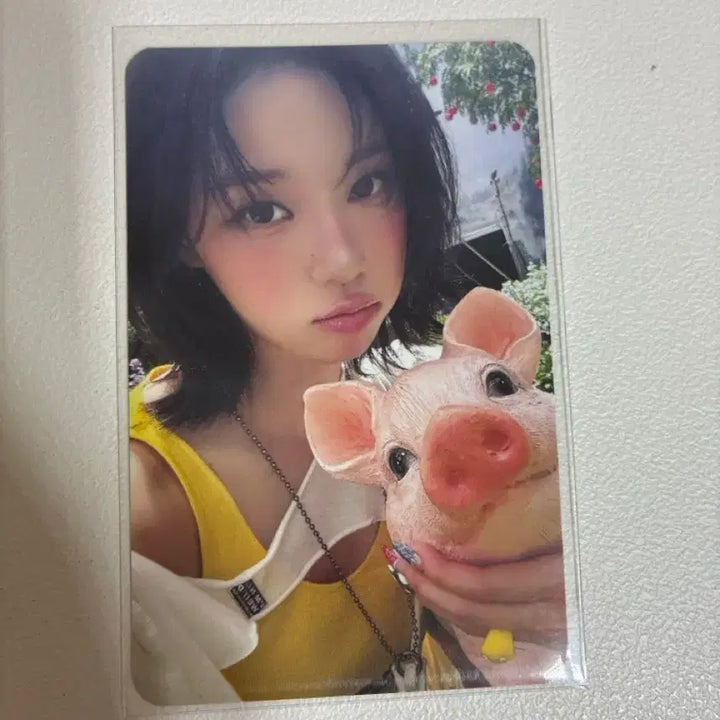 [BUNJANG] Aespa Winter Richman Photocard / 에스파 윈터 리치맨 포카