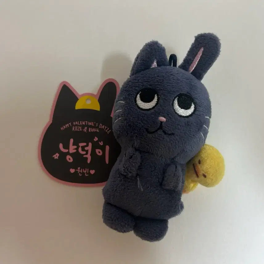 [SOLD OUT] 라이즈 원빈 1기 토냥덕 인형