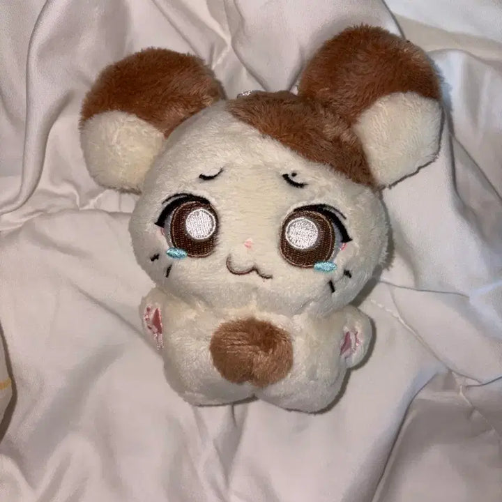 [BUNJANG] Enhypen Heeseung Evan Doll (Hamseung-i) / 희승 에반 인형 햄씅이 양도