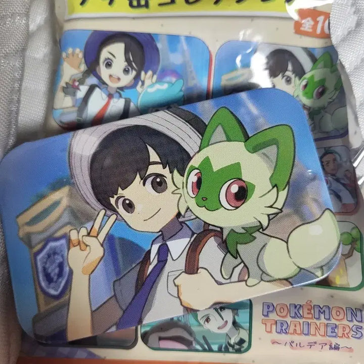 [BUNJANG] Pokemon Paldea Petit Tin Case Collection / 포켓몬스터 팔데아 쁘띠 틴 케이스 컬렉션 보민