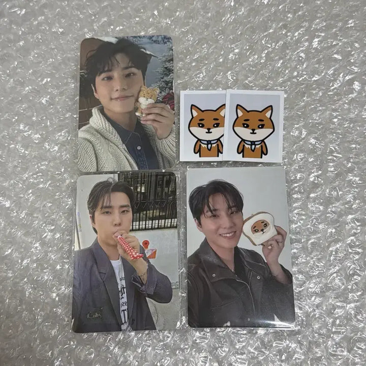 [BUNJANG] DAY6 Young K Bundle Set Photocard / 데이식스 영케이 포카 일괄