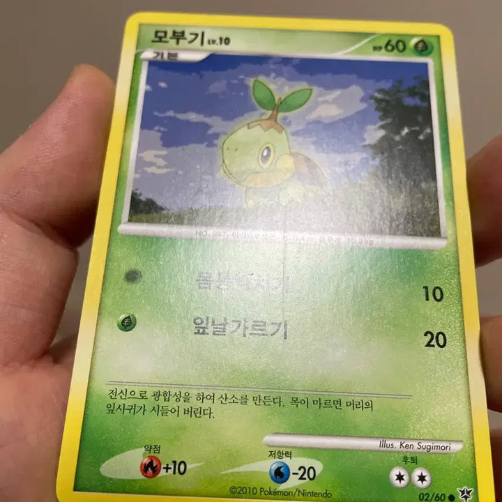 [BUNJANG] Pokemon DP 4th Gen Starter Evolution Trading Cards - Chimchar, Piplup, Turtwig / 2010년dp 4세대 스타팅 불꽃숭이, 팽도리, 모부기 고전카드포켓몬카드