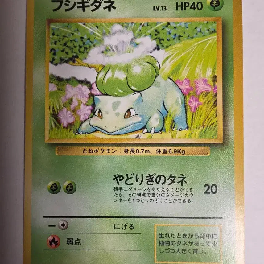 [BUNJANG] Pokemon Card 1996 Bulbasaur / 포켓몬카드 1996 초기 이상해씨