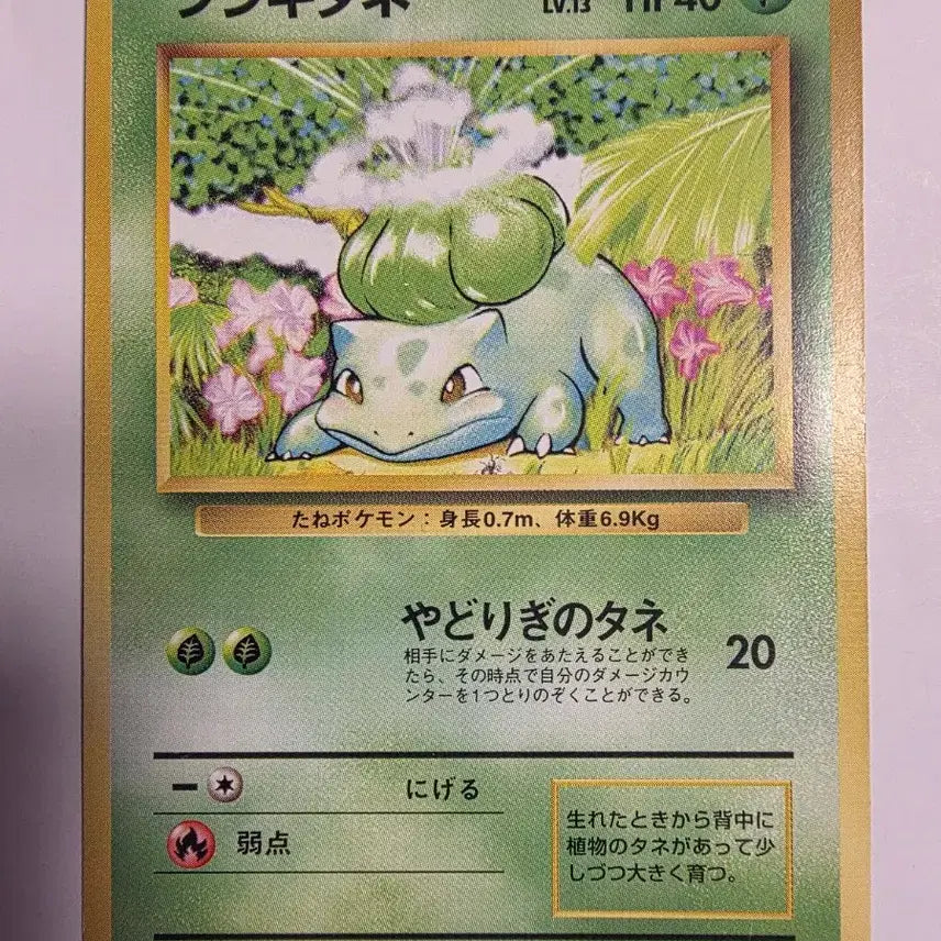 [BUNJANG] Pokemon Card 1996 Bulbasaur / 포켓몬카드 1996 초기 이상해씨