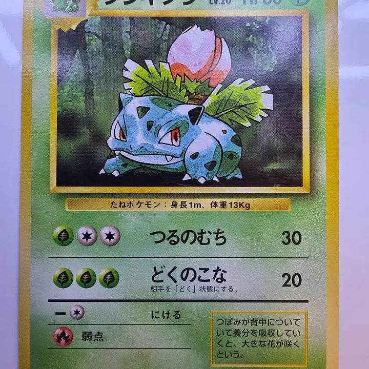 [BUNJANG] Pokemon Card 1996 Early Bulbasaur / 포켓몬카드 1996 초기 이상해풀