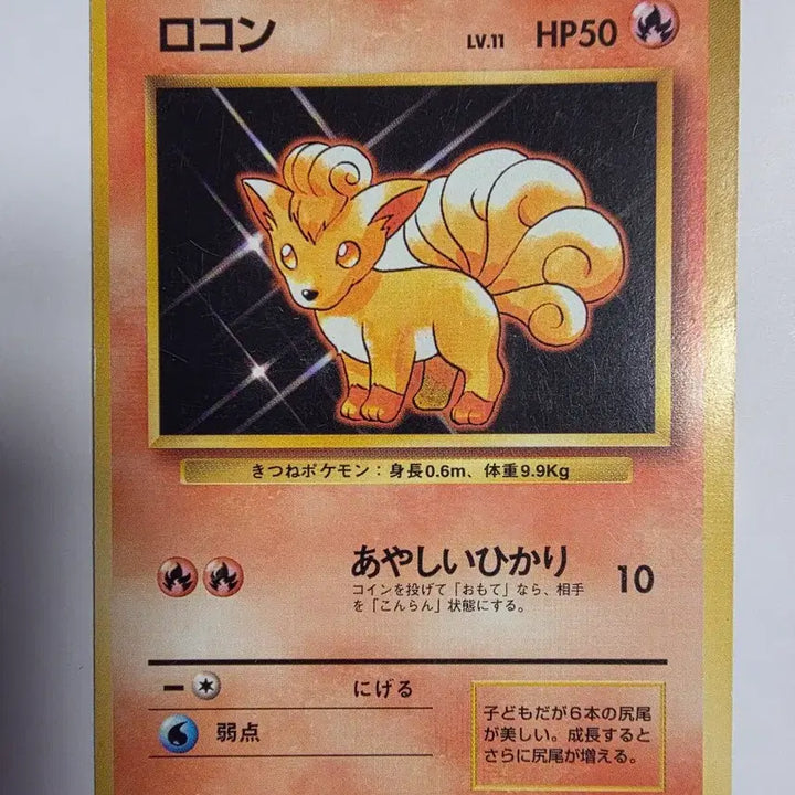 [BUNJANG] Pokemon Card 1996 Vulpix / 포켓몬카드 1996 초기 식스테일