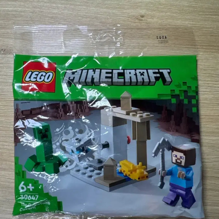 [BUNJANG] LEGO Minecraft Polybag 30647 / 마인크래프트 레고 30647