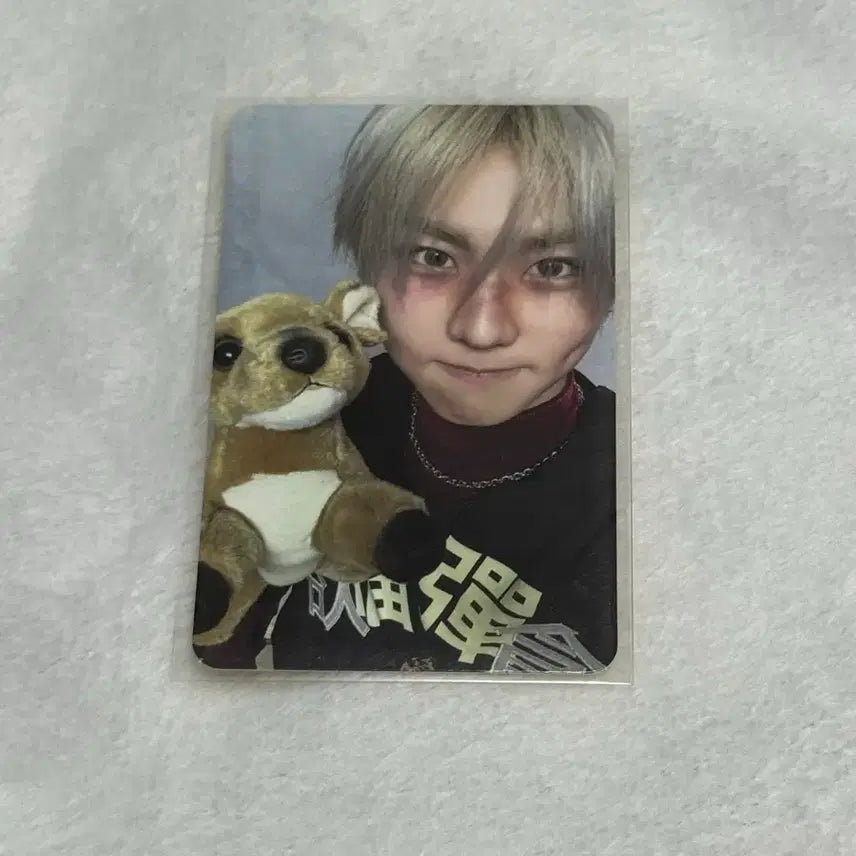 [BUNJANG] ENHYPEN Sunghoon Desire Album Photocard / 엔하이픈 정원 포카 양도합니다!