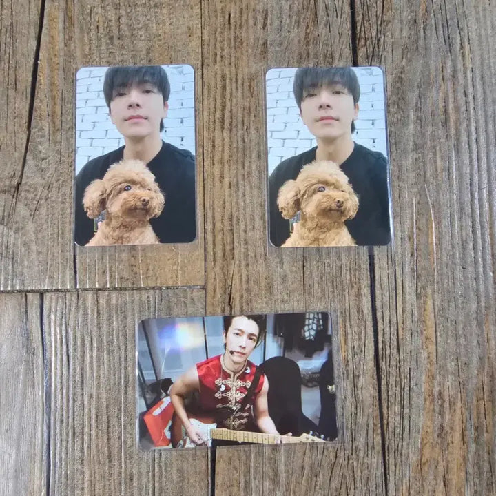 [BUNJANG] Super Junior Donghae Membership Kit Photocard Bundle Set / 3장일괄) 슈퍼주니어 멤버쉽키트 포카 동해세트 판매 양도합니다