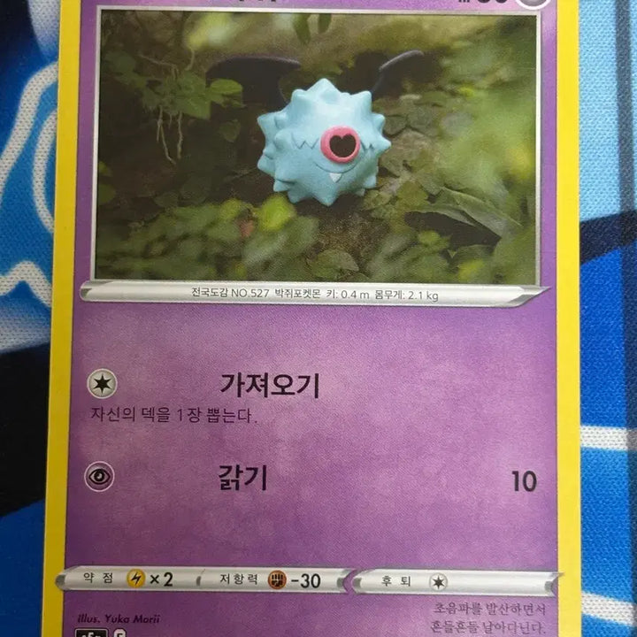 [BUNJANG] Pokemon Card Bat (Noctowl) Real Illustration / [귀여운 포켓몬카드] 또르박쥐 실물 일러
