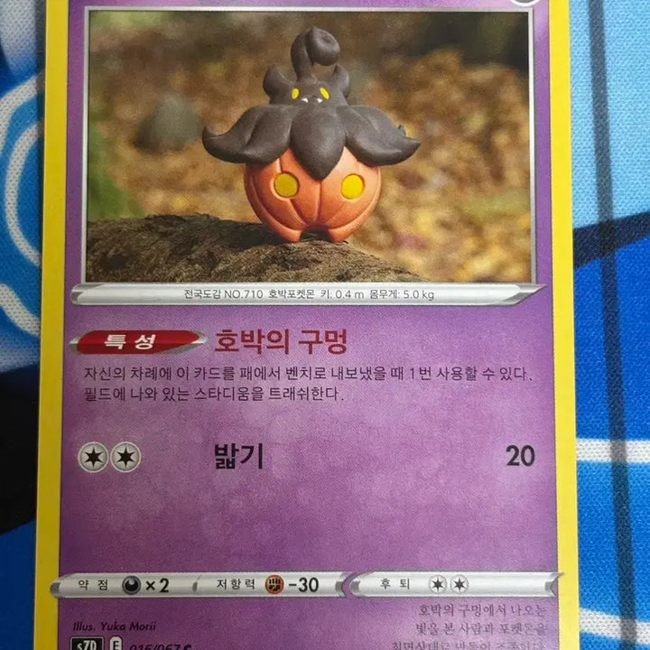 [BUNJANG] Cute Pokemon Card Hobagwi / [귀여운 포켓몬카드] 호바귀 실물 일러