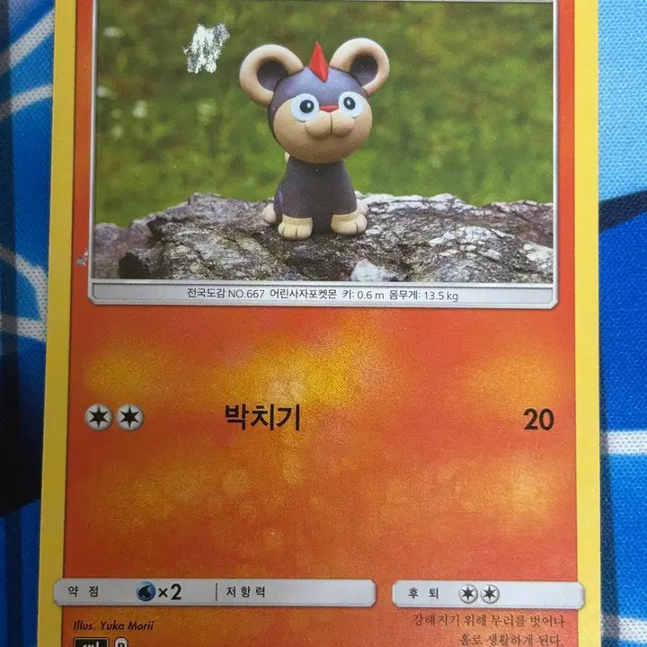[BUNJANG] Pokemon Card Leon (Leokko) Illustration / [귀여운 포켓몬카드] 레오꼬 실물 일러