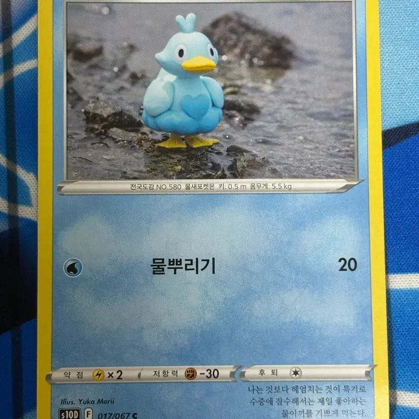 [BUNJANG] Cute Pokemon Card Gorjuss Illustration / [귀여운 포켓몬카드] 꼬지보리 실물 일러