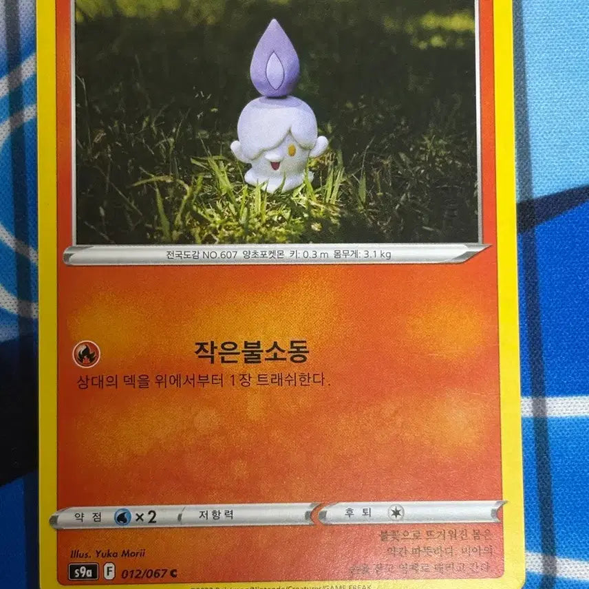 [BUNJANG] Cute Pokemon Card Litwick Illustration / [귀여운 포켓몬카드] 불켜미 실물 일러