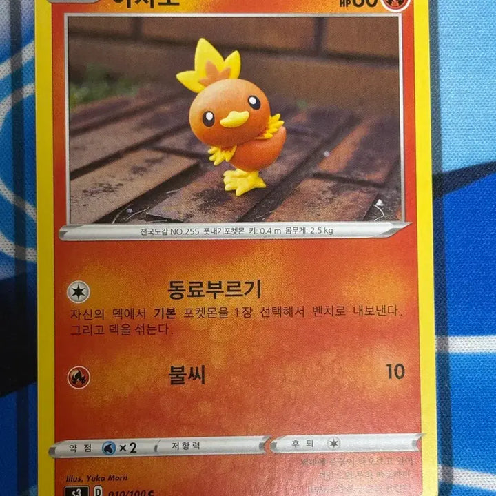 [BUNJANG] Pokemon Card Torchic Illustration / [귀여운 포켓몬카드] 아차모 실물 일러