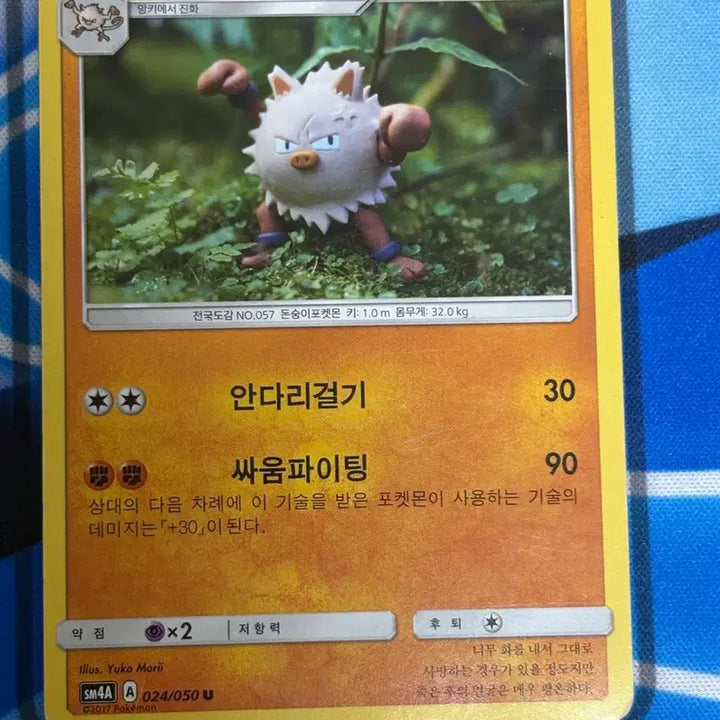 [BUNJANG] Pokemon Card Simunsoon Illustration / [귀여운 포켓몬카드] 성원숭 실물 일러