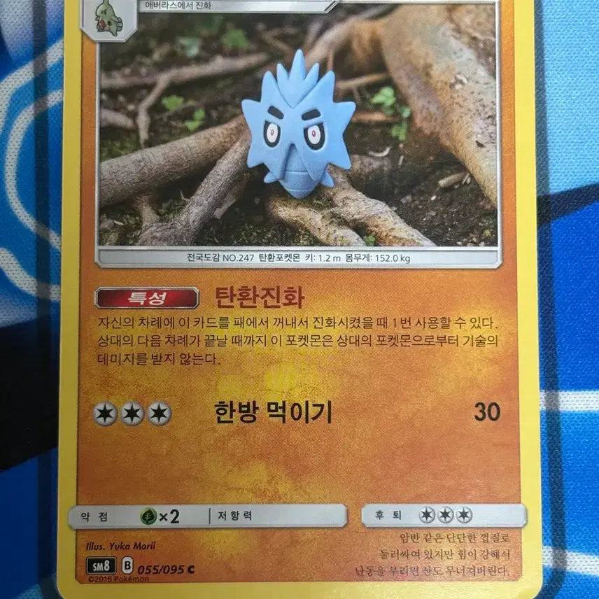 [BUNJANG] Pokemon Card Degiras Illustration / [귀여운 포켓몬카드] 데기라스 실물 일러