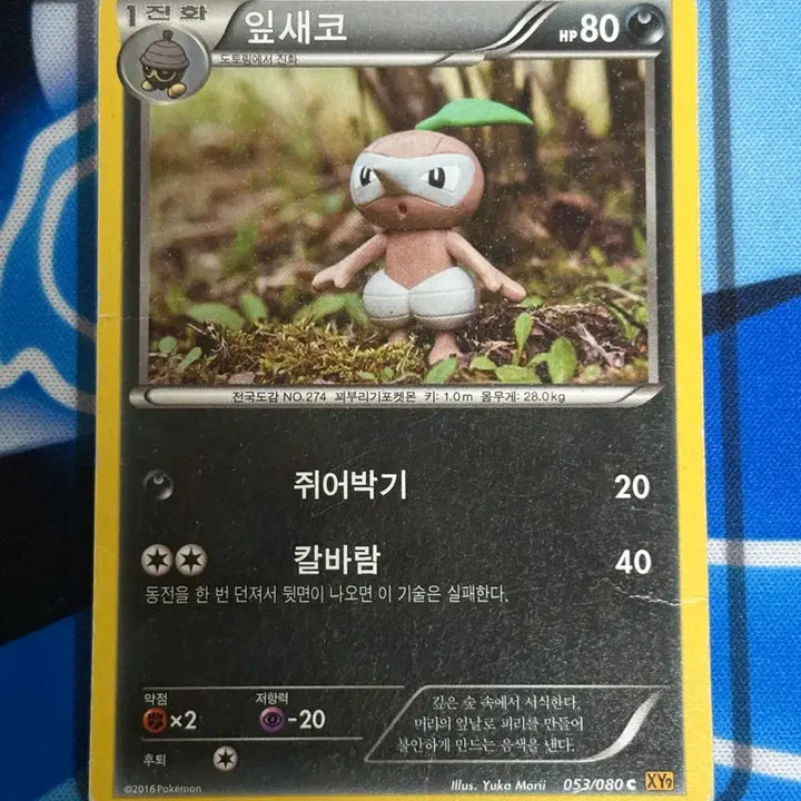 [BUNJANG] Pokemon Card Leafeon Illustration / [귀여운 포켓몬카드] 잎새코 실물 일러