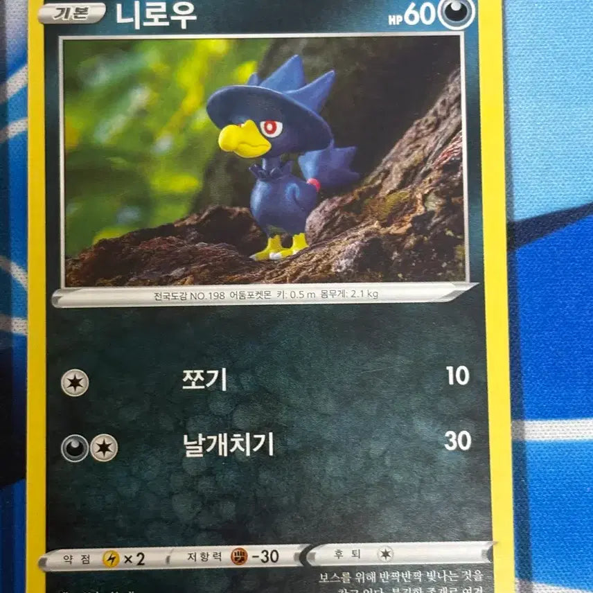 [BUNJANG] Pokemon Card Nidoran (Illustration) / [귀여운 포켓몬카드] 니로우 실물 일러