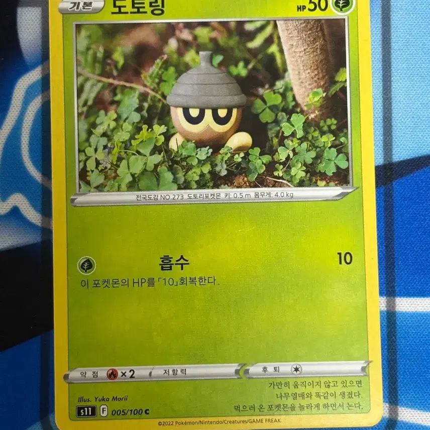[BUNJANG] Cute Pokemon Card Dotoring / [귀여운 포켓몬카드] 도토링 실물 일러