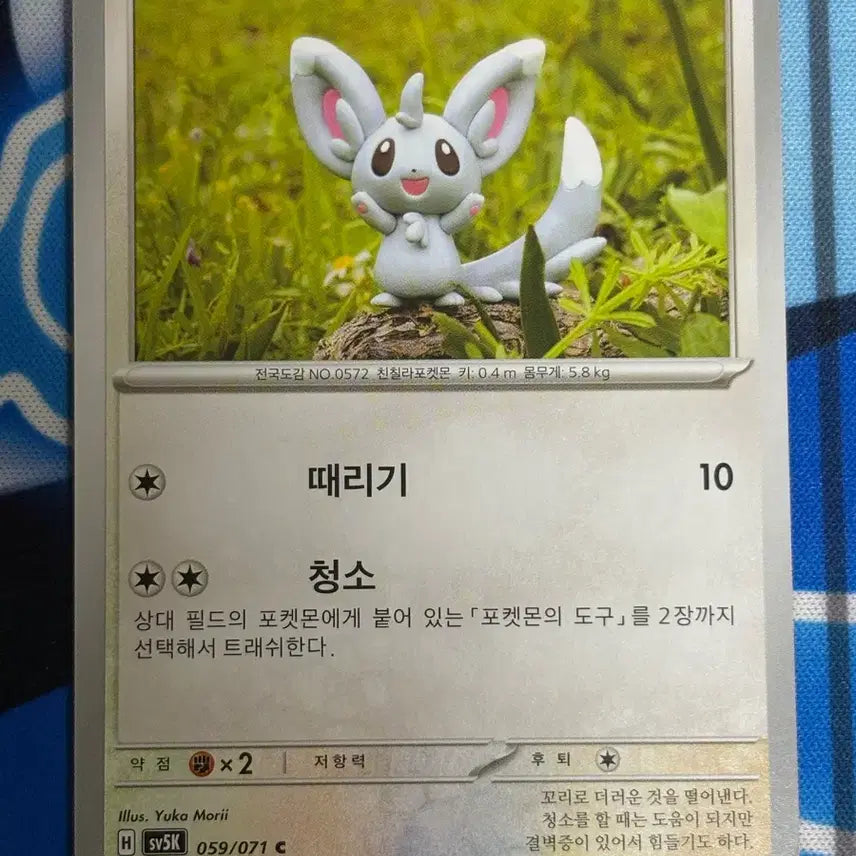 [BUNJANG] Pokemon Card Chirami Illustration / [귀여운 포켓몬카드] 치라미 실물 일러