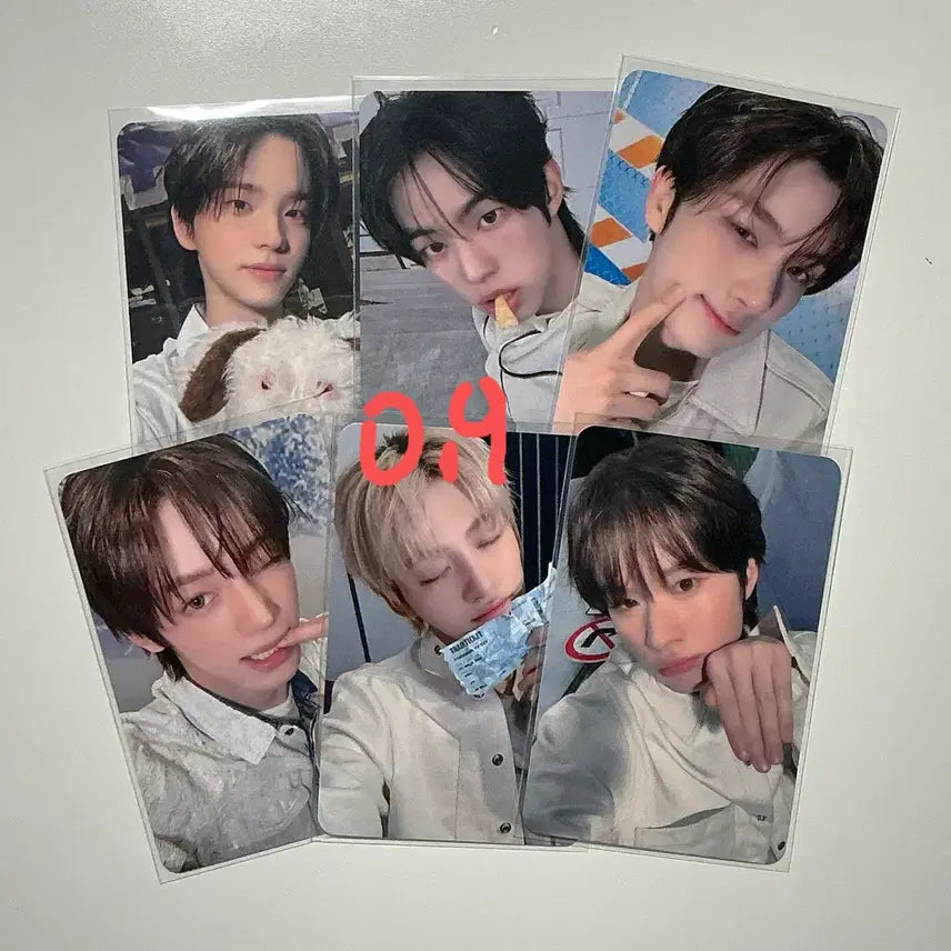 [BUNJANG] TWS BDM Fansign POB Photocard Set / 투어스 블드미 팬싸 특전 포카 set