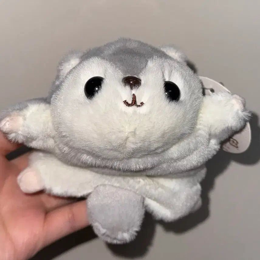 [BUNJANG] Momonga Flying Squirrel Plush Toy / 하늘다람쥐 날다람쥐 모몽가 구슬 인형