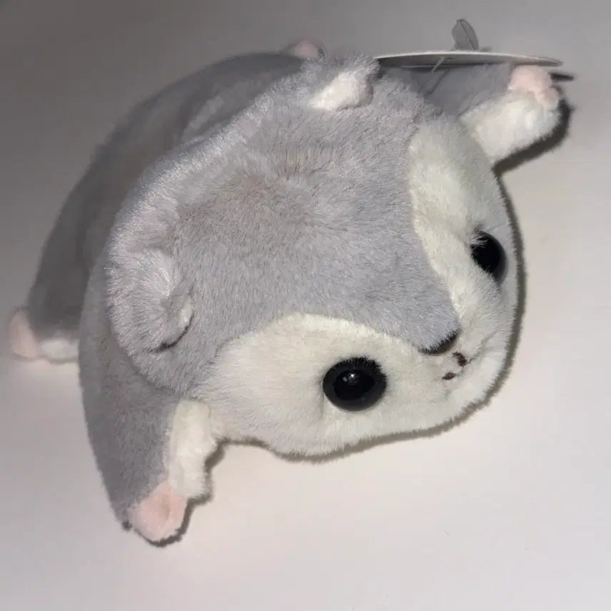 [BUNJANG] Momonga Flying Squirrel Plush Toy / 하늘다람쥐 날다람쥐 모몽가 구슬 인형