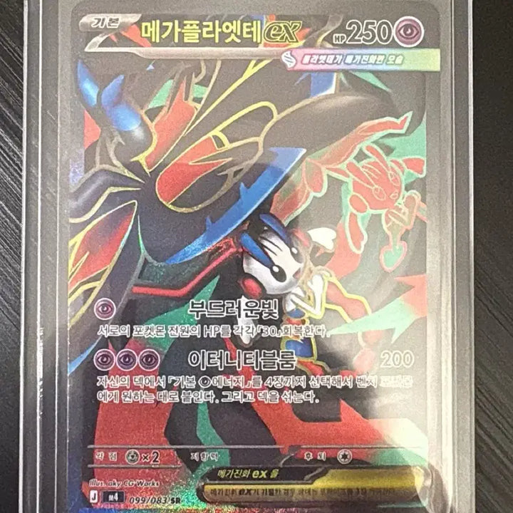[BUNJANG] Pokemon Card Mega Pidgeot EX SR / 포켓몬카드 메가플라엣테ex SR