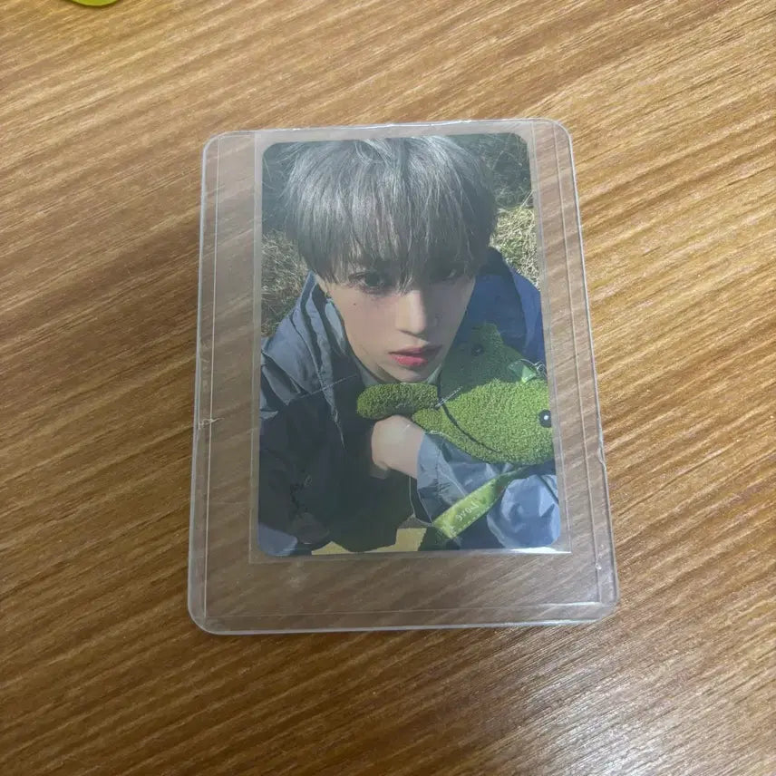 [BUNJANG] ARNO CONCERT ELIZ ZONE Photocard / 아르노 중콘 앨리즈존 포카 / 콘서트 팬콘 알디원 씬롱 안신 상원 상현