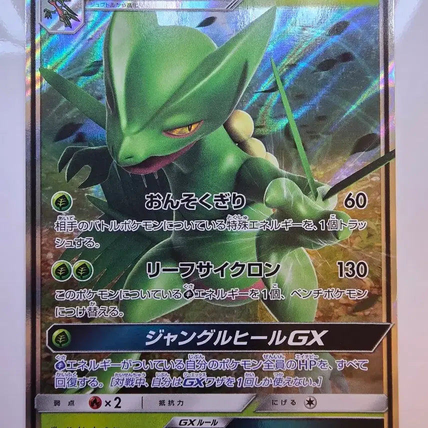 [BUNJANG] Vintage Japanese Pokemon Card Trevenant GX / 빈티지)포켓몬카드 일판 나무킹gx
