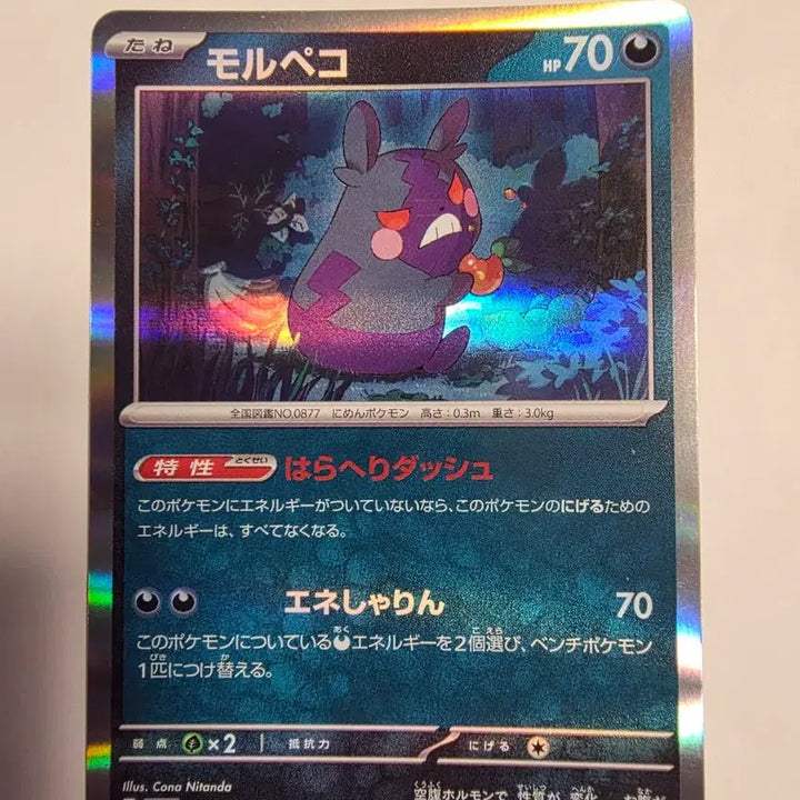 [BUNJANG] Morpeko Holo Japanese Pokemon Card / 포켓몬카드 일판 모르페코 홀로