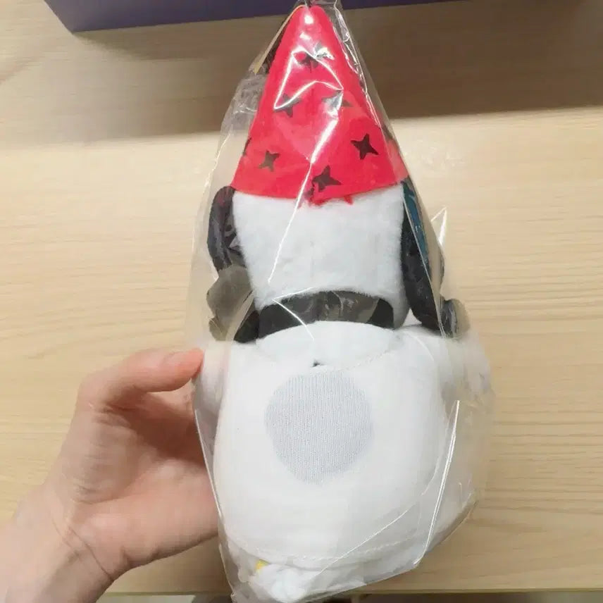[BUNJANG] Snoopy 75th Anniversary Plush Doll + Bonus Pouch / 스누피 75주년 기념 누이 인형+ 서비스 파우치