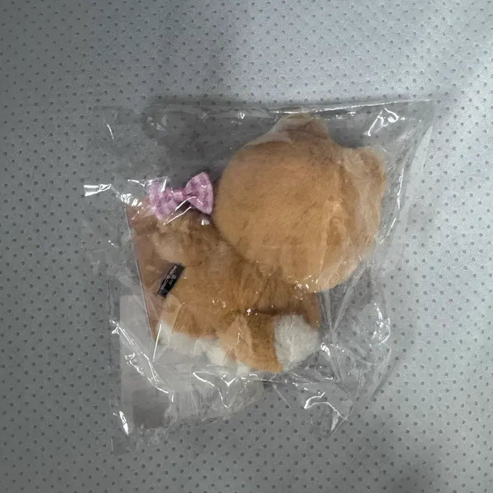 [BUNJANG] DAY6 Petit Denimals 10cm Plush Doll / DAY6 쁘띠 데니멀즈 인형 10cm 케