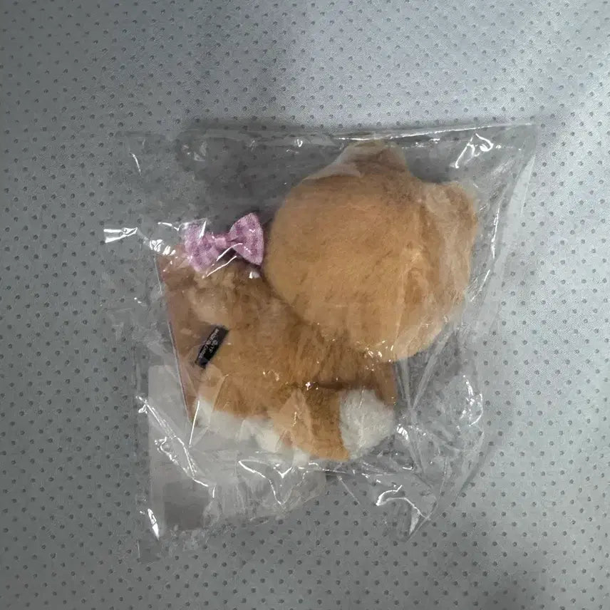 [BUNJANG] DAY6 Petit Denimals 10cm Plush Doll / DAY6 쁘띠 데니멀즈 인형 10cm 케