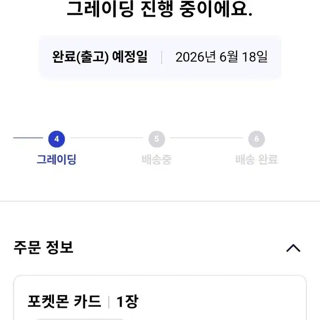 [BUNJANG] Pokemon TCG Pikachu Graded Card 9 / 포켓몬 카드 통째로 삼켜진 피카츄 brg 9