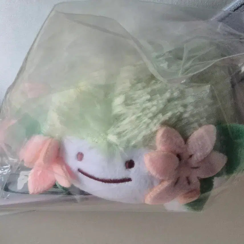 [BUNJANG] Pokemon Shaymin Ditto Keyring Plush / 포켓몬 쉐이미 메타몽 키링 인형